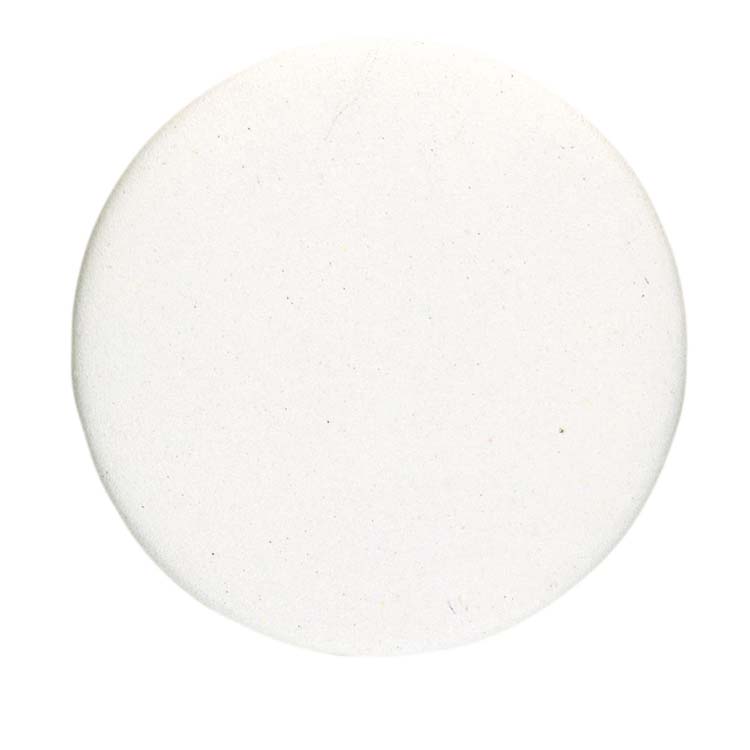 Blinde rozet pro rond wit