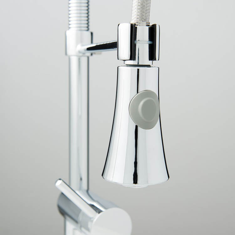 Robinet de cuisine Charlotte chrome spiraalveer