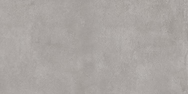 Carrelage mural Oyster grey rt 33.3 x 100 cm
