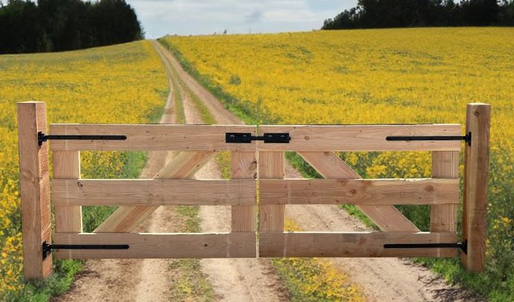 Dubbele weidepoort Douglas 300x100cm
