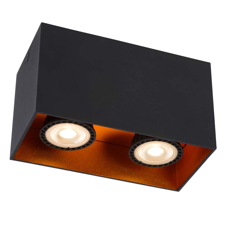 Spot plafond - 2xGU10 - Noir