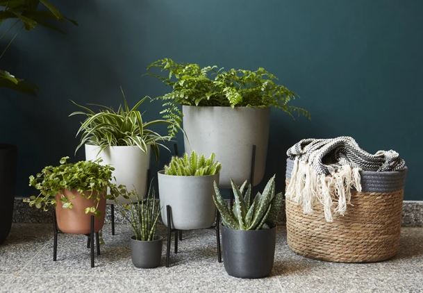 Support de plantes Point Virgule noir 16 x 15,5 cm