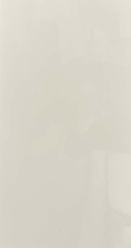 Carrelage mural Luna blanc brillant 29.8x59.8cm