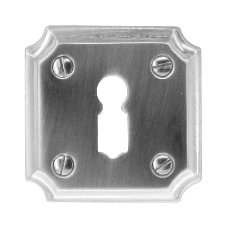Entrée de clé pro genua look inox