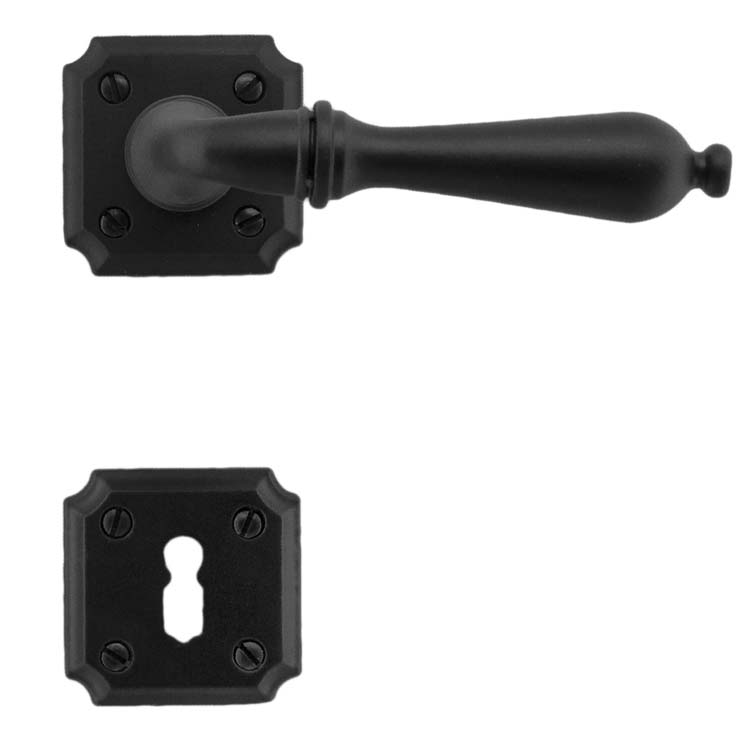 Poignée de porte pro roselle noir rosace barbe
