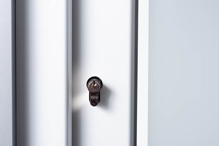 Buitendeur 3 klare lijnen PVC mat glas wit 980x2180mm linkstrekkend