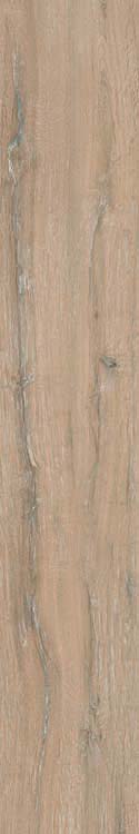 Échantillon carrelage Albero oak