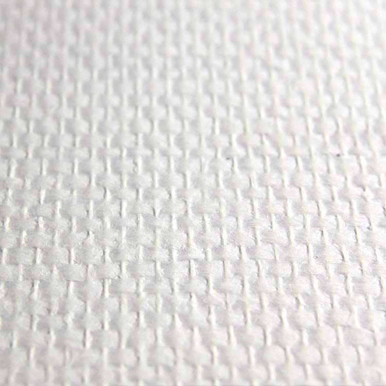 Fibre de verre classique 120g/m² 1x50m prélaqué