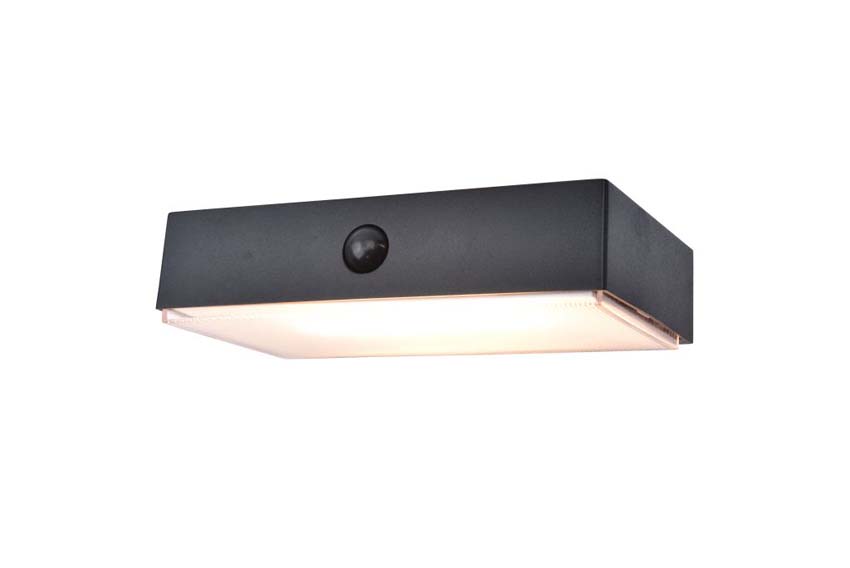 Applique murale extérieur - noir - H4,3cm - LED - 1x5W - 2700-6500K - IP54 - détecteur de mouvement