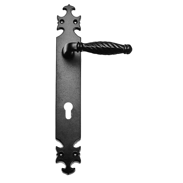Poignée de porte pro anzio noir sur bouclier avec cylindre