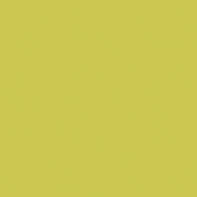 Carrelage mural Uni mat vert jaune 20x20cm