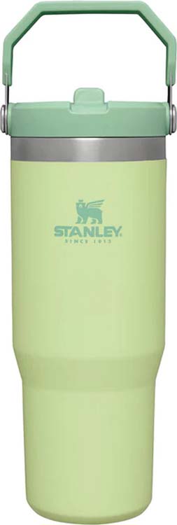 Stanley iceflow tumbler flip straw 0.89l citron