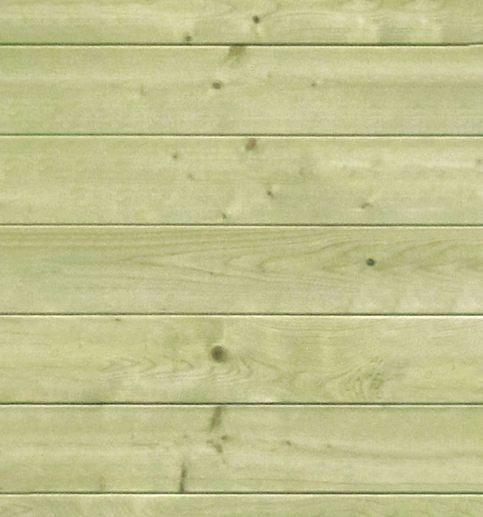 Studio de jardin Amelia M bois de pin naturel 300x300x236cm double porte
