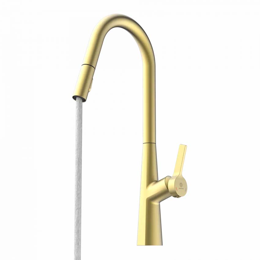 Robinet de cuisine Wasserwerk WK 9 Curve or mat avec bec extractible