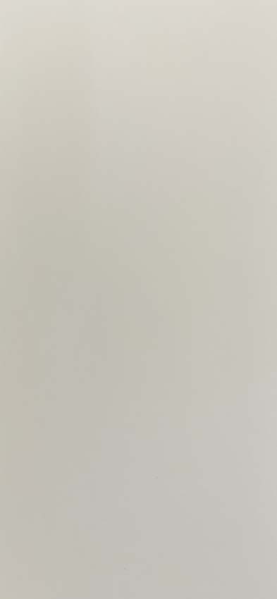 Carrelage mural Lore blanc mat rt 30x60cm