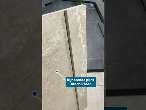 Carrelage Avalon ivory rt 60 x 60 cm