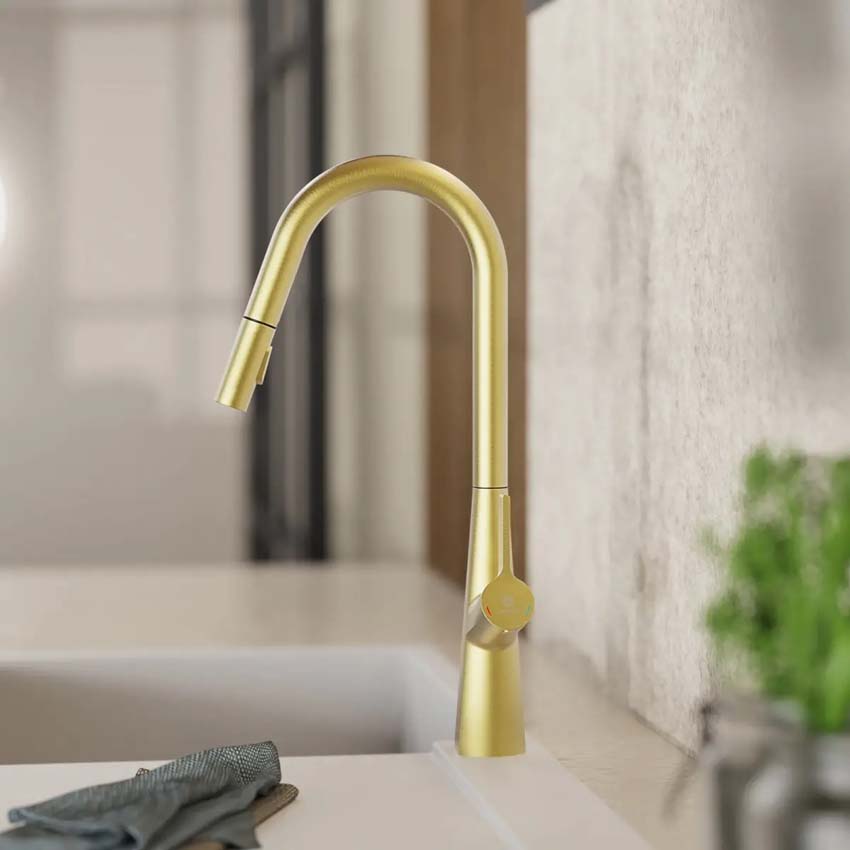 Robinet de cuisine Wasserwerk WK 9 Curve or mat avec bec extractible