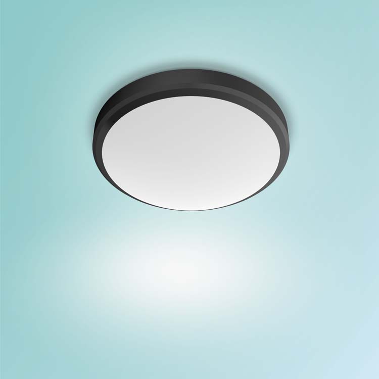 Plafondlamp Zwart 6W 2700K IP45