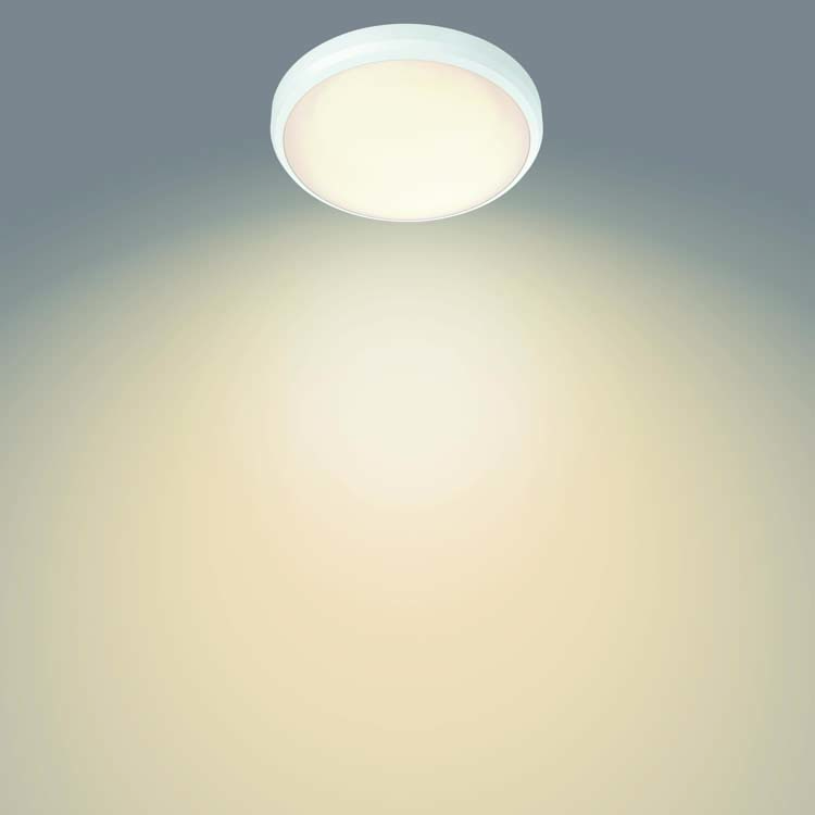 Plafondlamp Wit 6W 2700K IP44