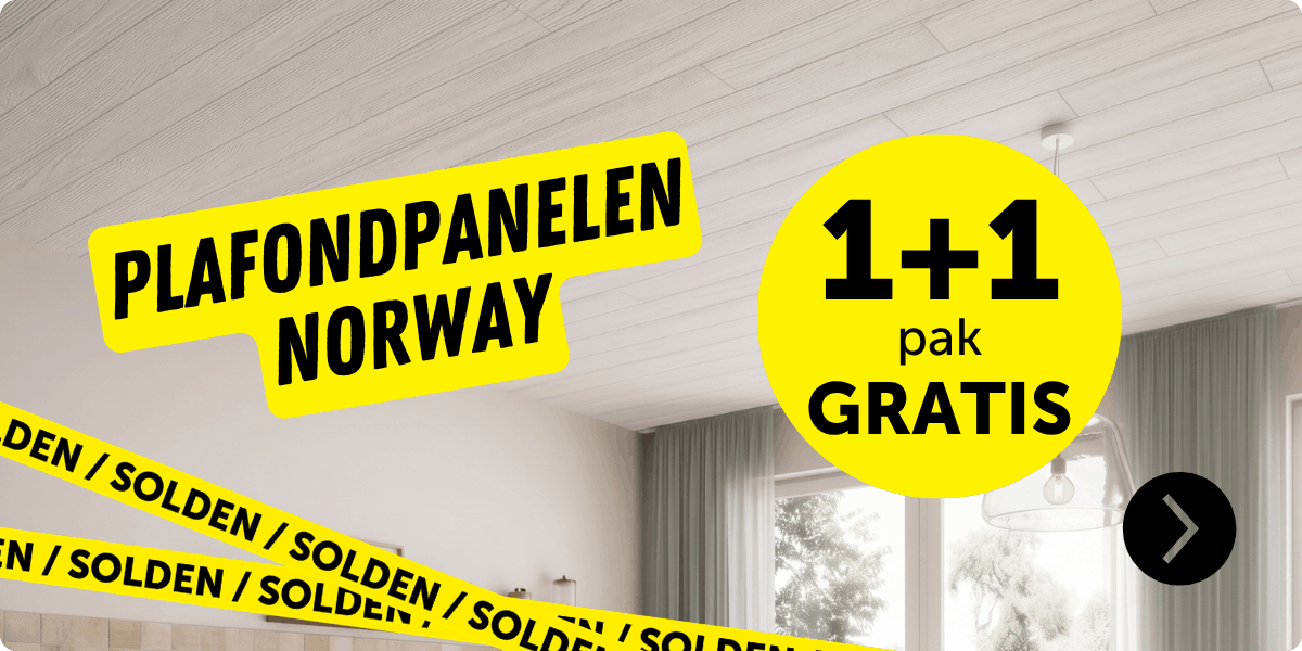 Plafondpanelen actie 1+1