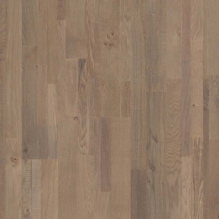 Échantillon Quick-Step parquet variano Chêne gris royale huilé