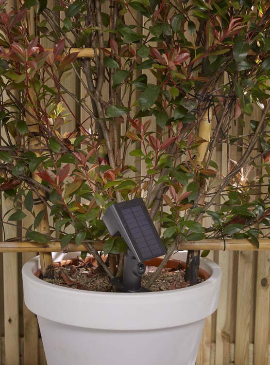 Solar spot intelligent Taranto noir