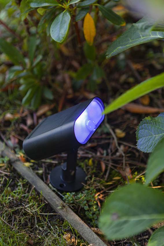 Applique murale extérieur - noir - H15,5cm - LED - 1x7W - 2700-6500K - IP44 - détecteur de mouvement