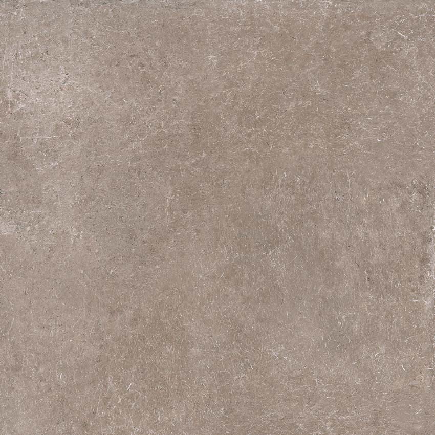 Vloer- en wandtegel Logara taupe 60x60cm