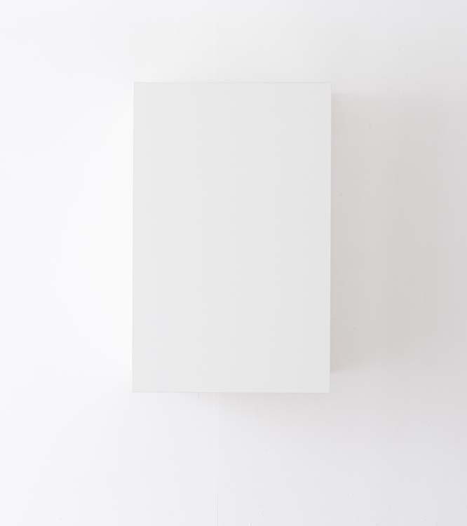 Armoire de cuisine Plenti armoire suspendue blanche 50x78cm