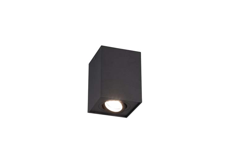 Plafonnière noir mate excl lampe LED possible  1 spot