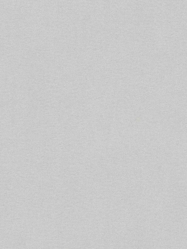 Vinyl op vliesbehang licht gestructureerd lichtgrijs 0,53x15m