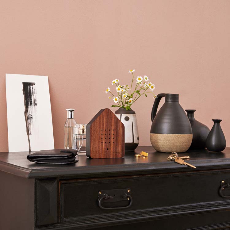 Zwitscherbox wood walnut black