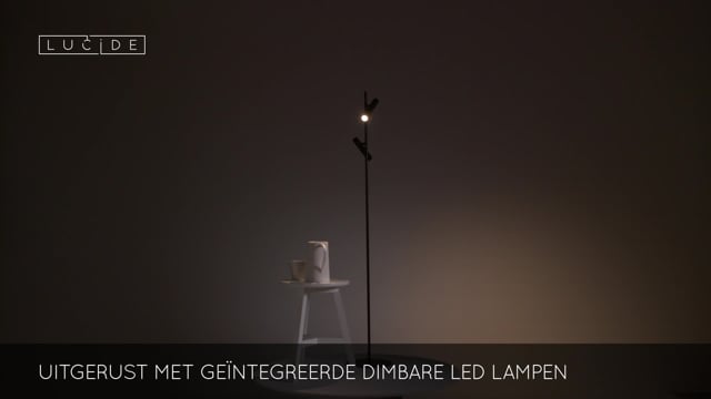 Leeslamp/vloerlamp - Ø 23 cm - LED Dimbaar - 2x4,5W - Zwart