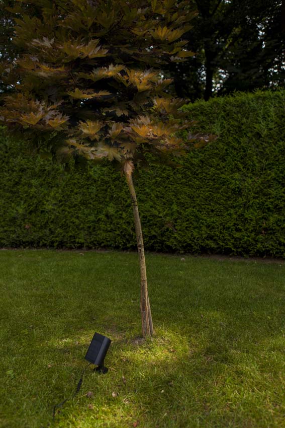 Spot de jardin d'extérieur Nox Solar - noir - dimmable - 8.2W - 5000K - IP55 - avec détecteur de mouvement