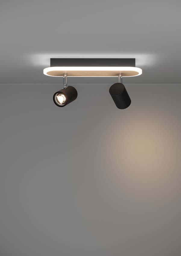 Opbouwspot - Zwart/bruin - 28x9x16 cm - Dimbaar - LED - 2x12W - 3000K