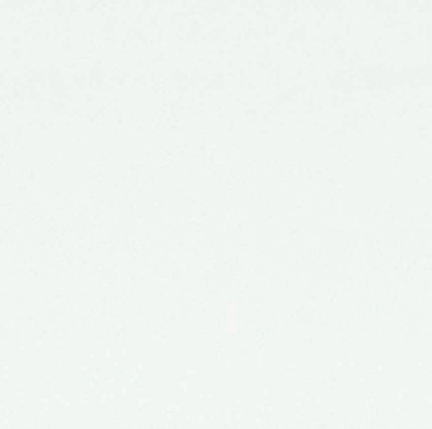 Wand- & plafondpaneel Maestro MDF waterbestendig gloss white 19x120x0,8cm