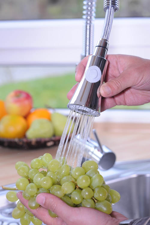 Robinet de cuisine Charlotte chrome spiraalveer
