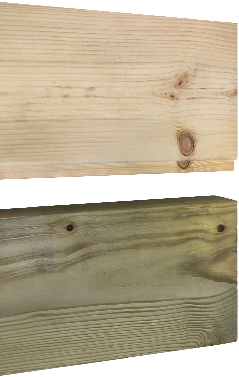 Studio de jardin Amelia L + terrasse bois de pin naturel 770x300x236cm double porte