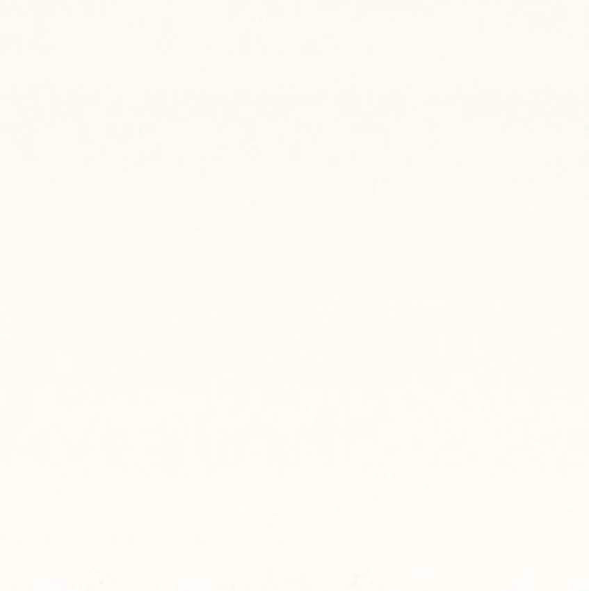 Wand- & plafondpaneel Maestro MDF waterbestendig uni white 19x120x0,8cm