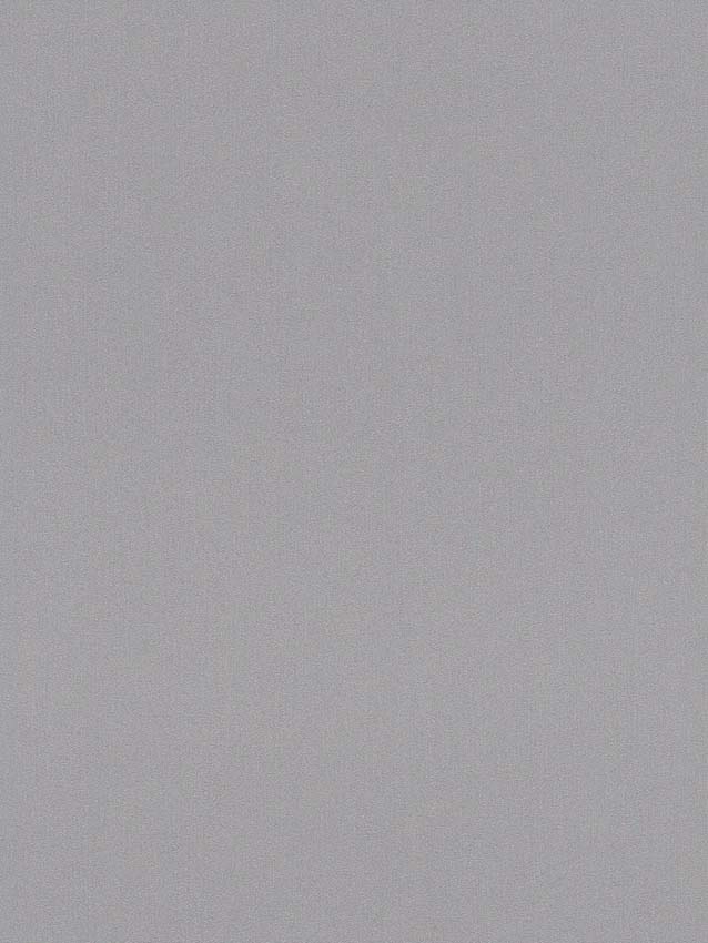 Vinyle sur papier peint intissé uni rayures gris 0,53x10m