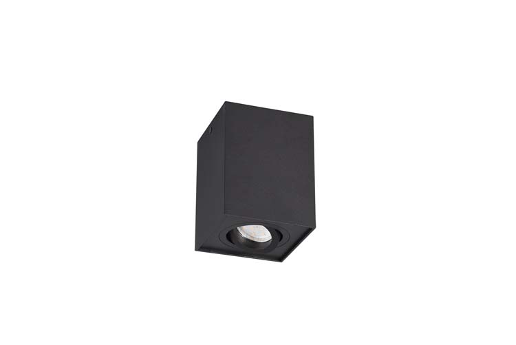 Plafonnière noir mate excl lampe LED possible  1 spot