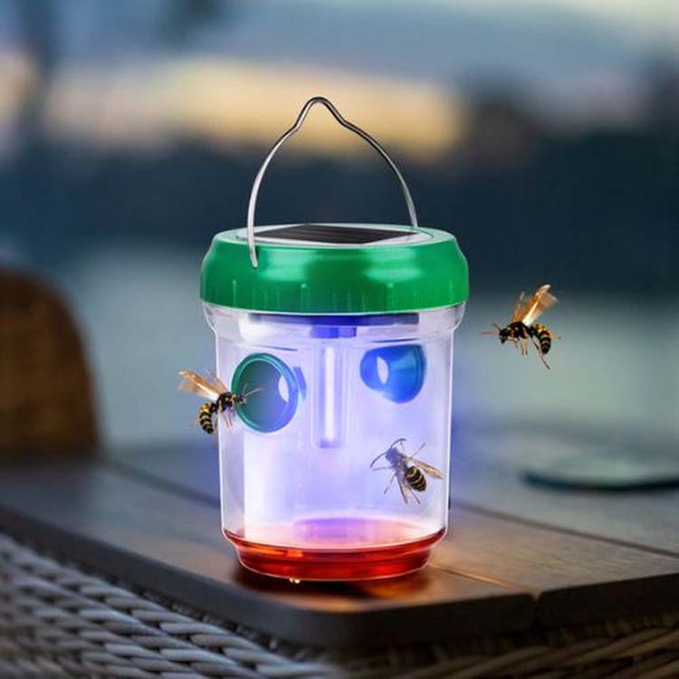 Wespenval met solarlamp 3 stuks Wespenval met solarlamp 3 stuks