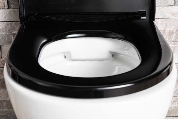 Toilette suspendue Gary sans rebord blanc raccourcie avec siège de WC softclose noir