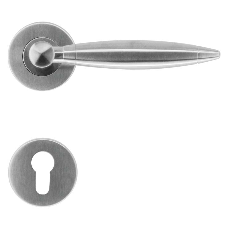 Poignée de porte salerno inox plus rosace cylindre