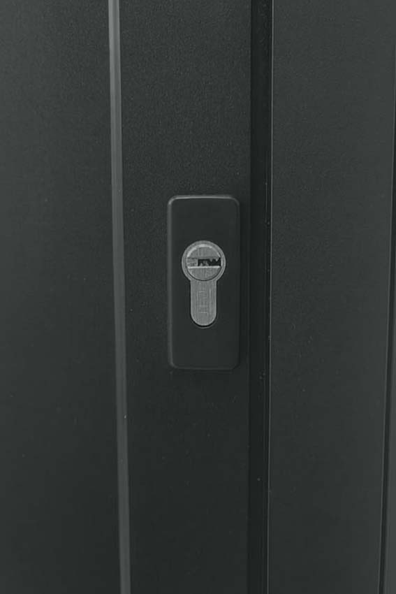 Buitendeur Tavira halfglas aluminium helder glas antraciet 960x2180mm links duwend