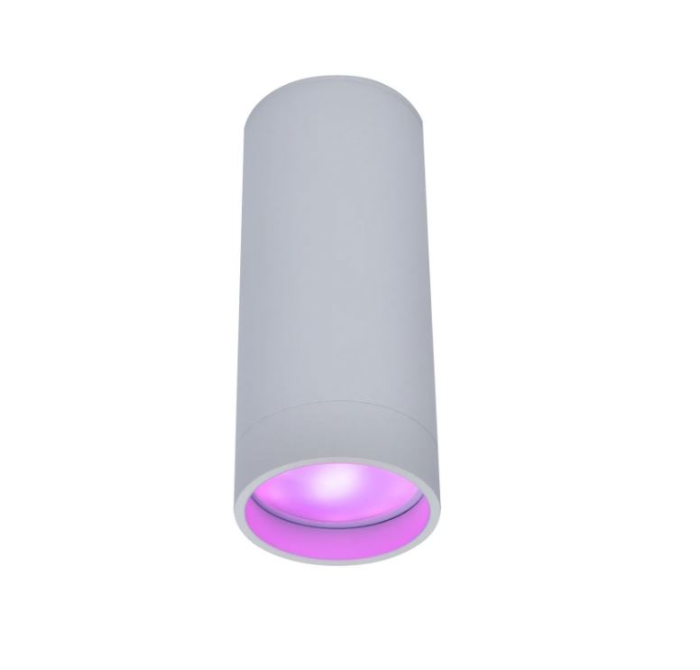 Slimme plafondspot rond 4.7W Wit LED incl.