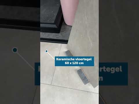 Carrelage Toledo beige/gris rt 60 x 120 cm