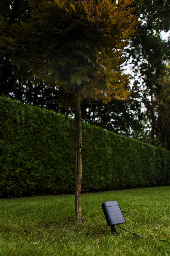 Spot de jardin d'extérieur Nox Solar - noir - dimmable - 8.2W - 5000K - IP55 - avec détecteur de mouvement