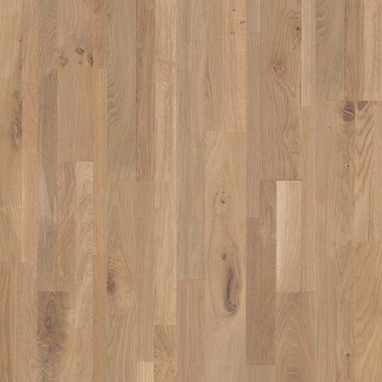 Échantillon Quick-Step parquet variano Chêne champagne brut huilé