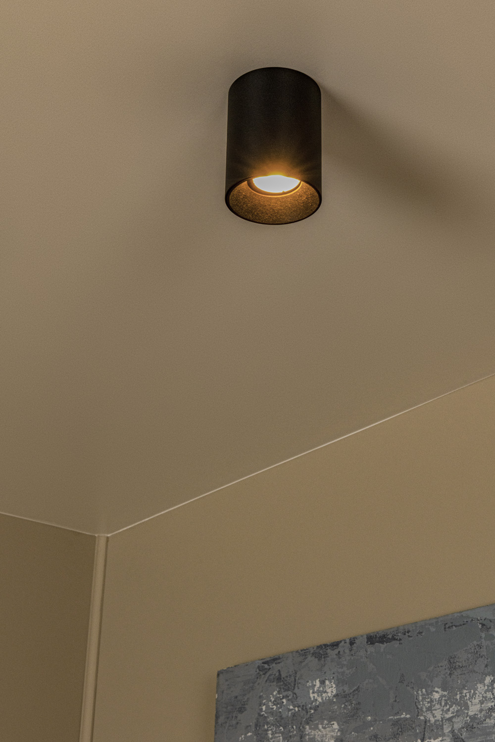 Spot plafond - Ø8cm - 1XGU10 (MR16) - Des anneaux interchangeables inclus - Noir